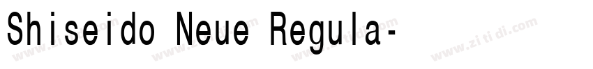 Shiseido Neue Regula字体转换 Shiseido Neue Regula字体转换